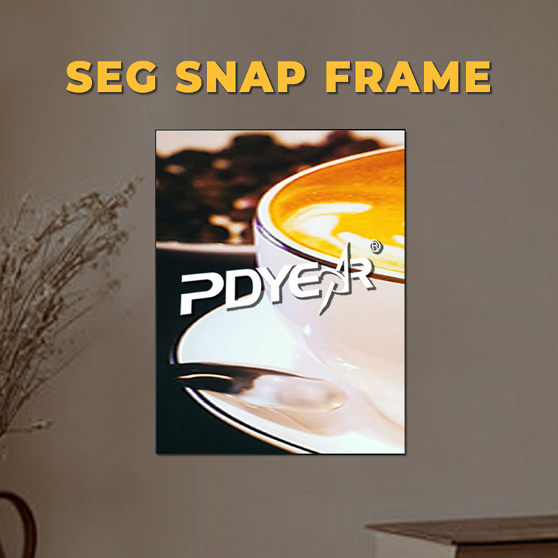Seg Snap Frame,PDYEAR GROUP,Seg Snap Frame