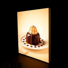Premium SEG Frameless Wall-Mounted Lightbox,PDYEAR GROUP,Premium SEG Frameless Wall Lightbox