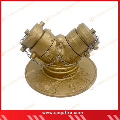 alt="Fire Department Connection for firefighting – quick hose attachment point to building sprinkler and standpipe systems, essential for emergency water supply"