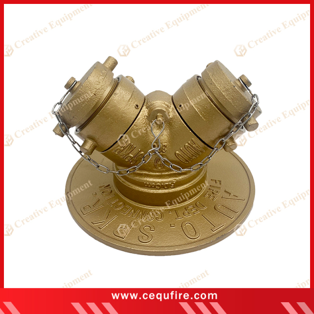 alt="Fire Department Connection for firefighting – quick hose attachment point to building sprinkler and standpipe systems, essential for emergency water supply"