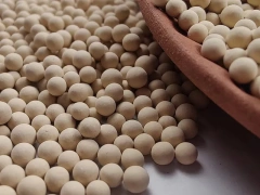 13X Molecular Sieve （13X)