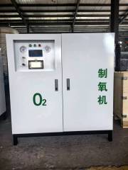Cabinet PSA Oxygen Generator