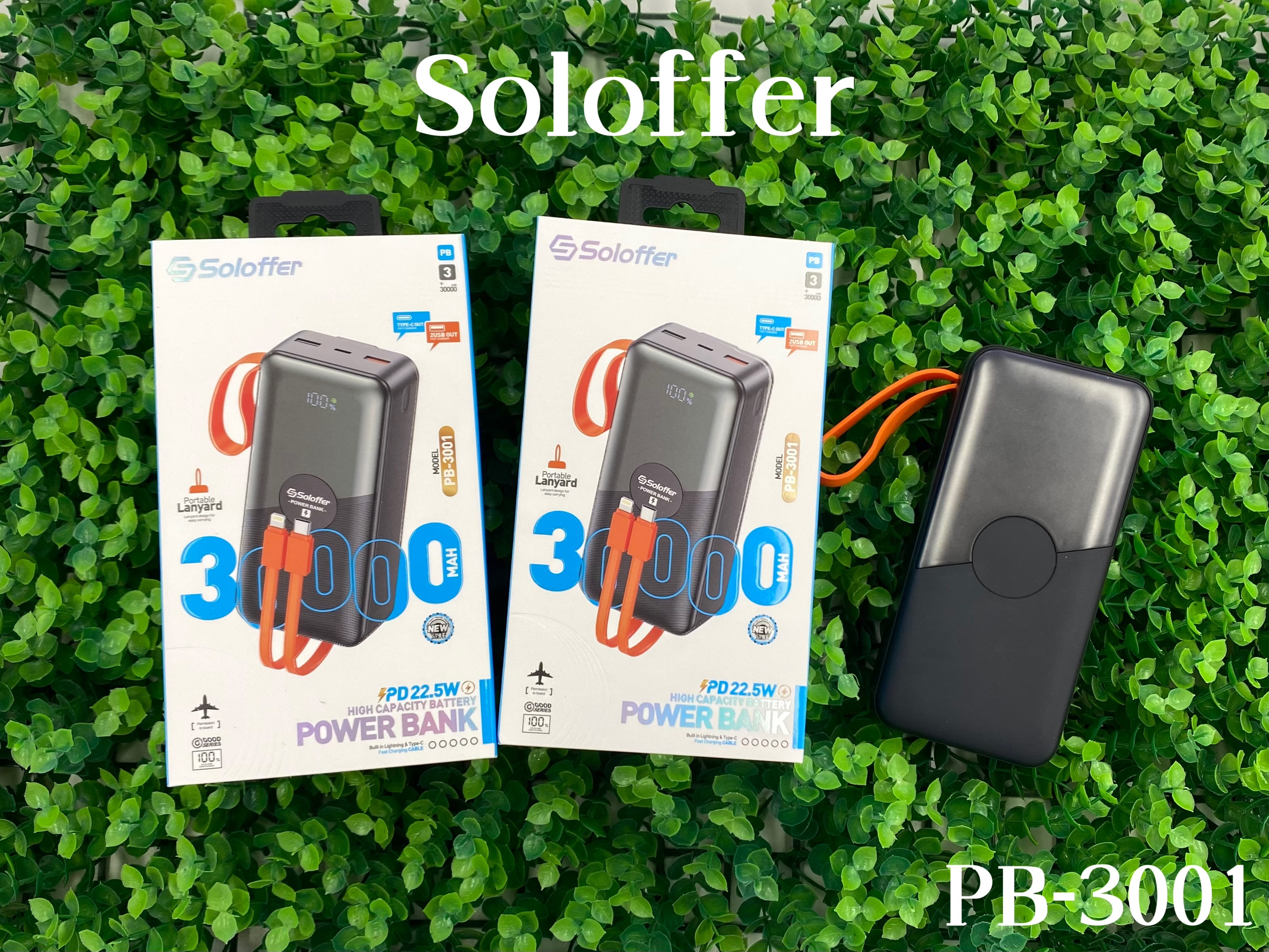 PB-3001 POWER BANK