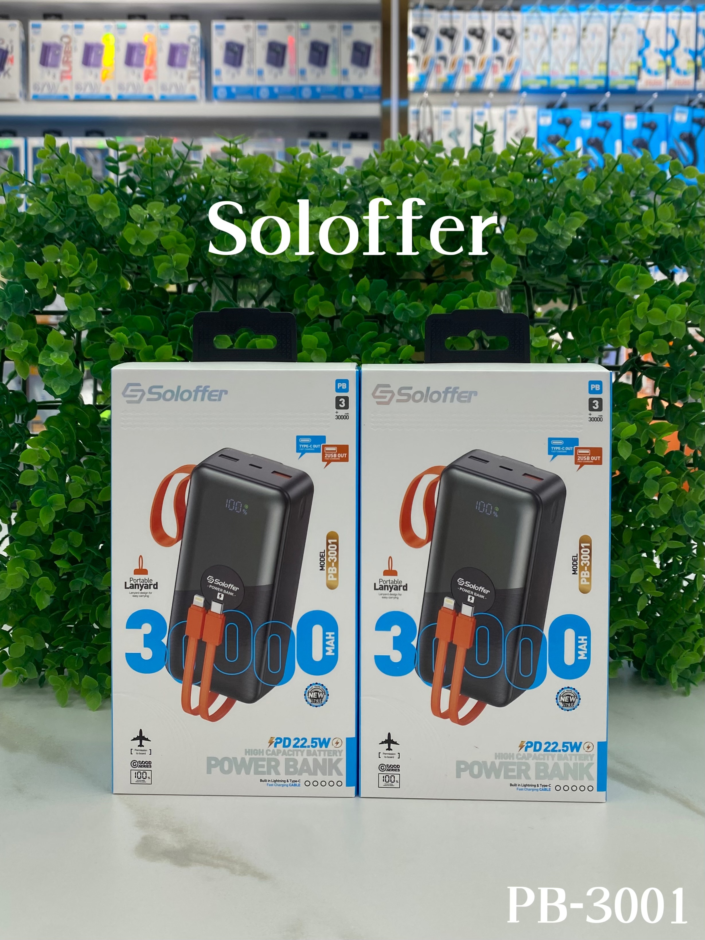 PB-3001 POWER BANK