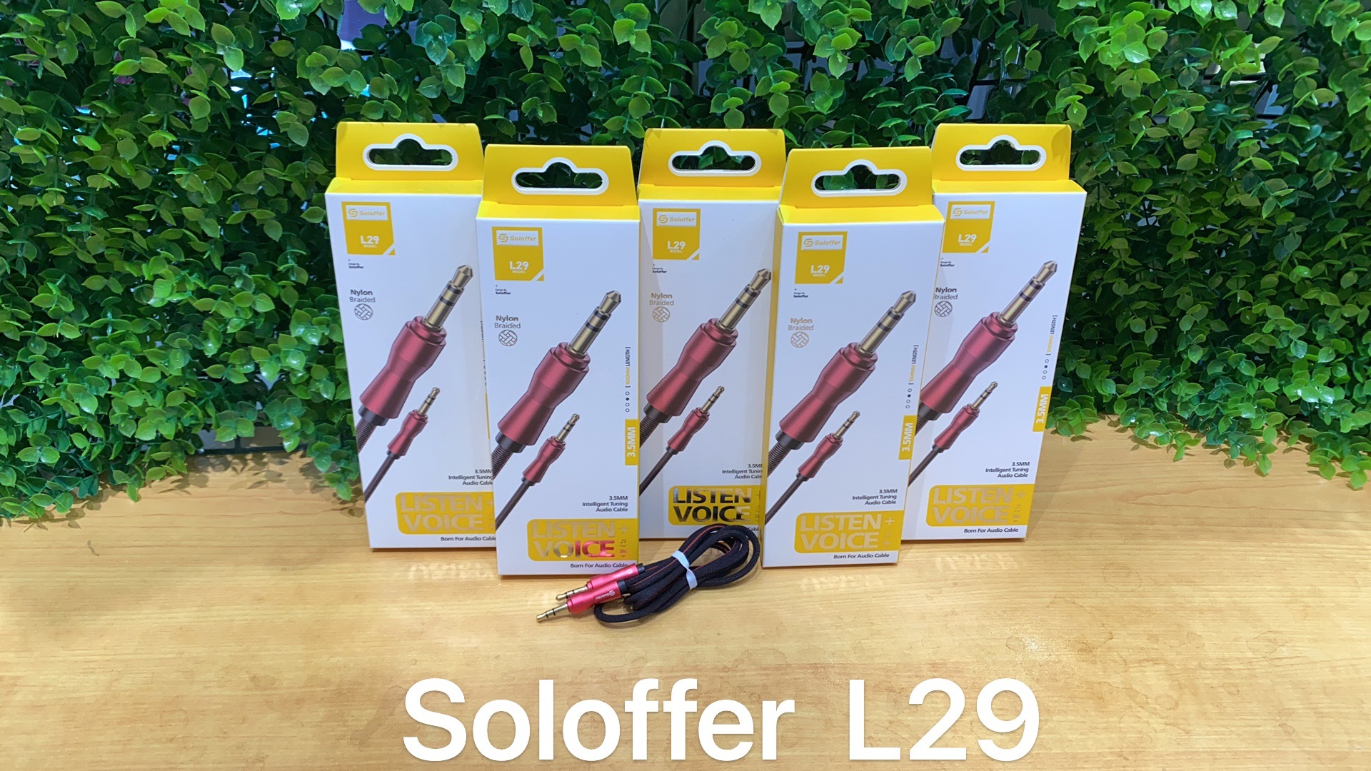 L29 AUX CABLE