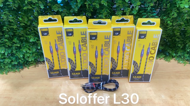 L30 AUX CABLE