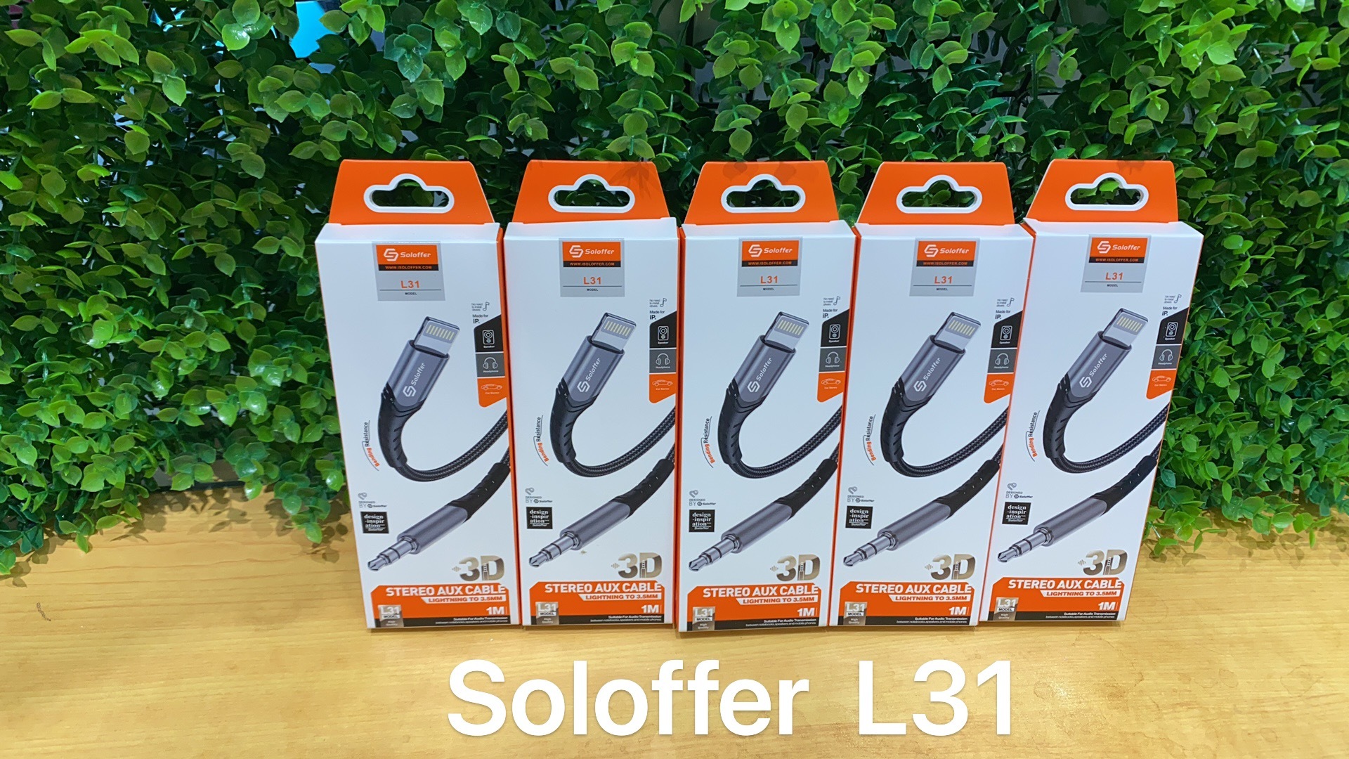 L31 AUX CABLE