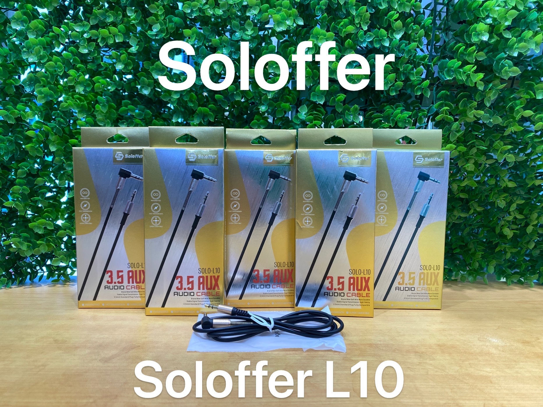L10 AUX CABLE
