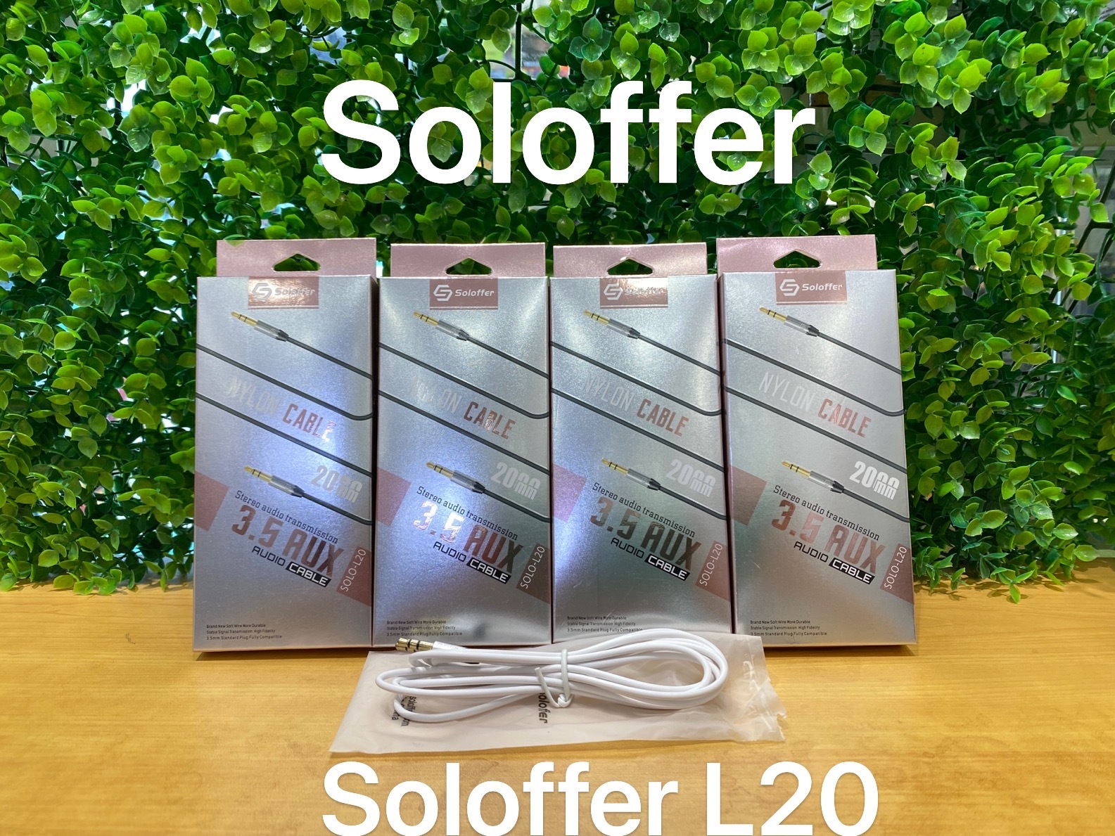 L20 AUX CABLE
