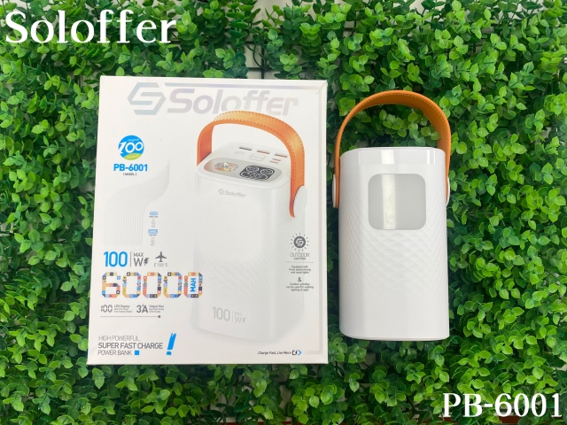 PB-6001 POWER BANK