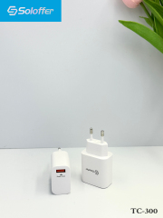 TC-300 UK&EU PIN HOME CHARGER