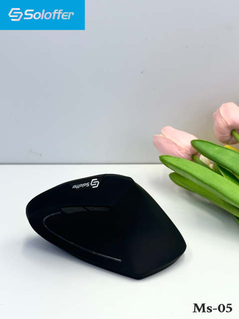MS-05 MOUSE