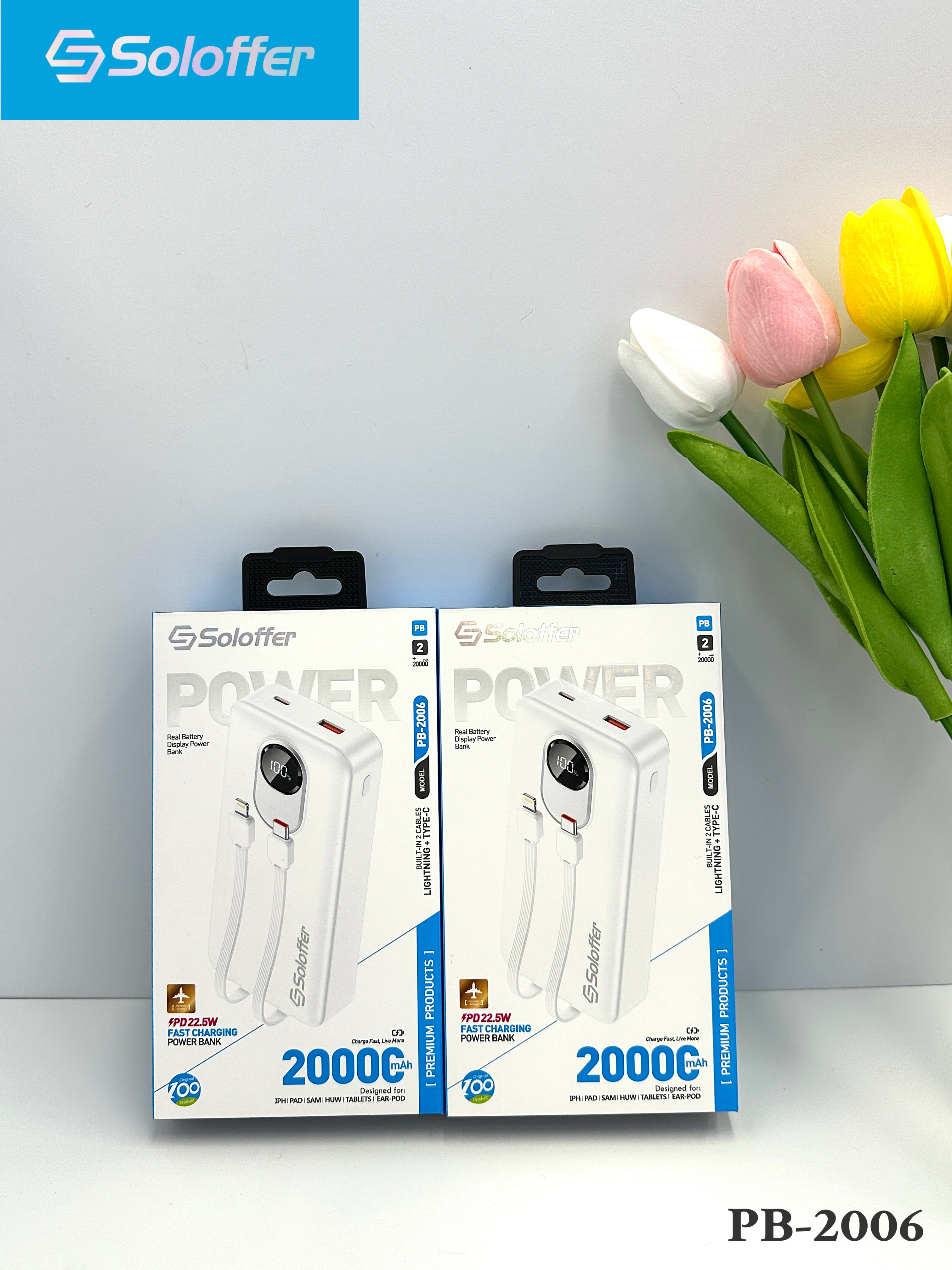 PB-2006 POWER BANK