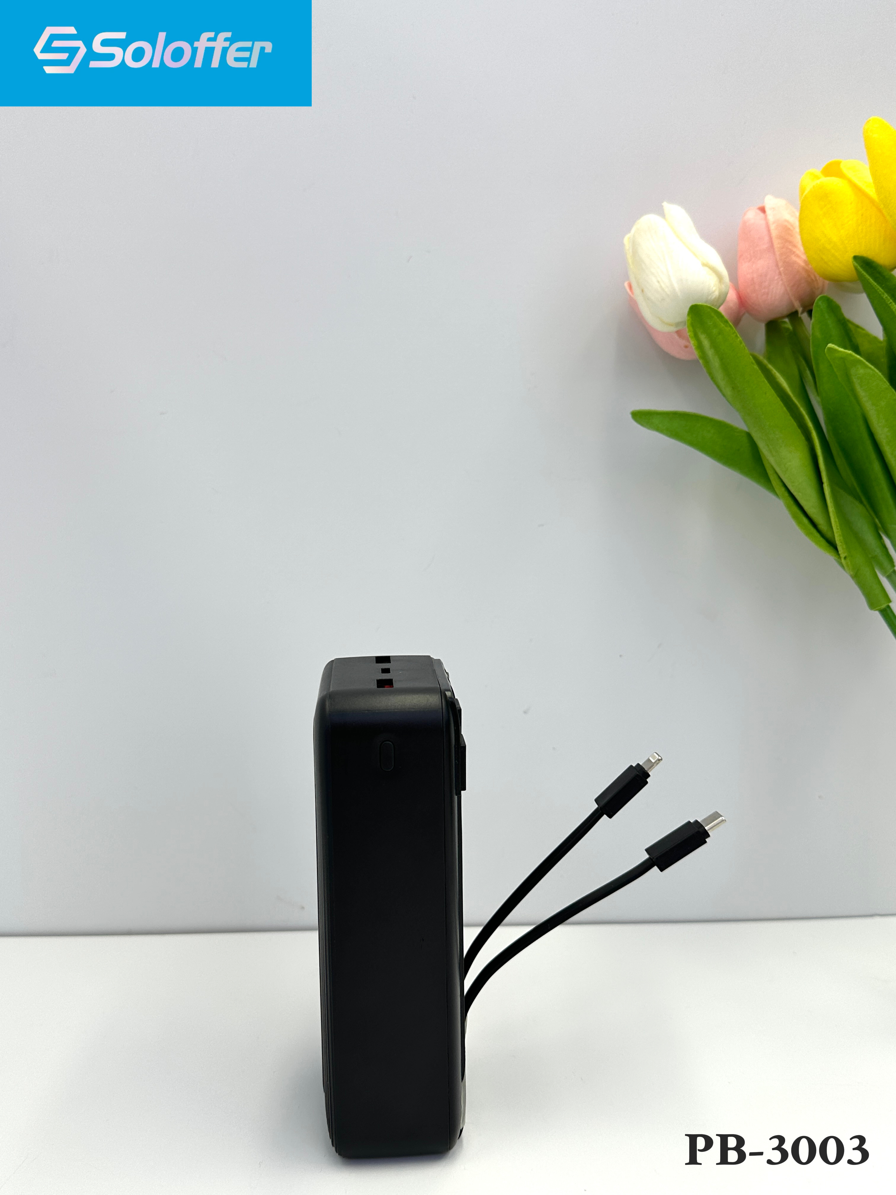 PB-3003 POWER BANK