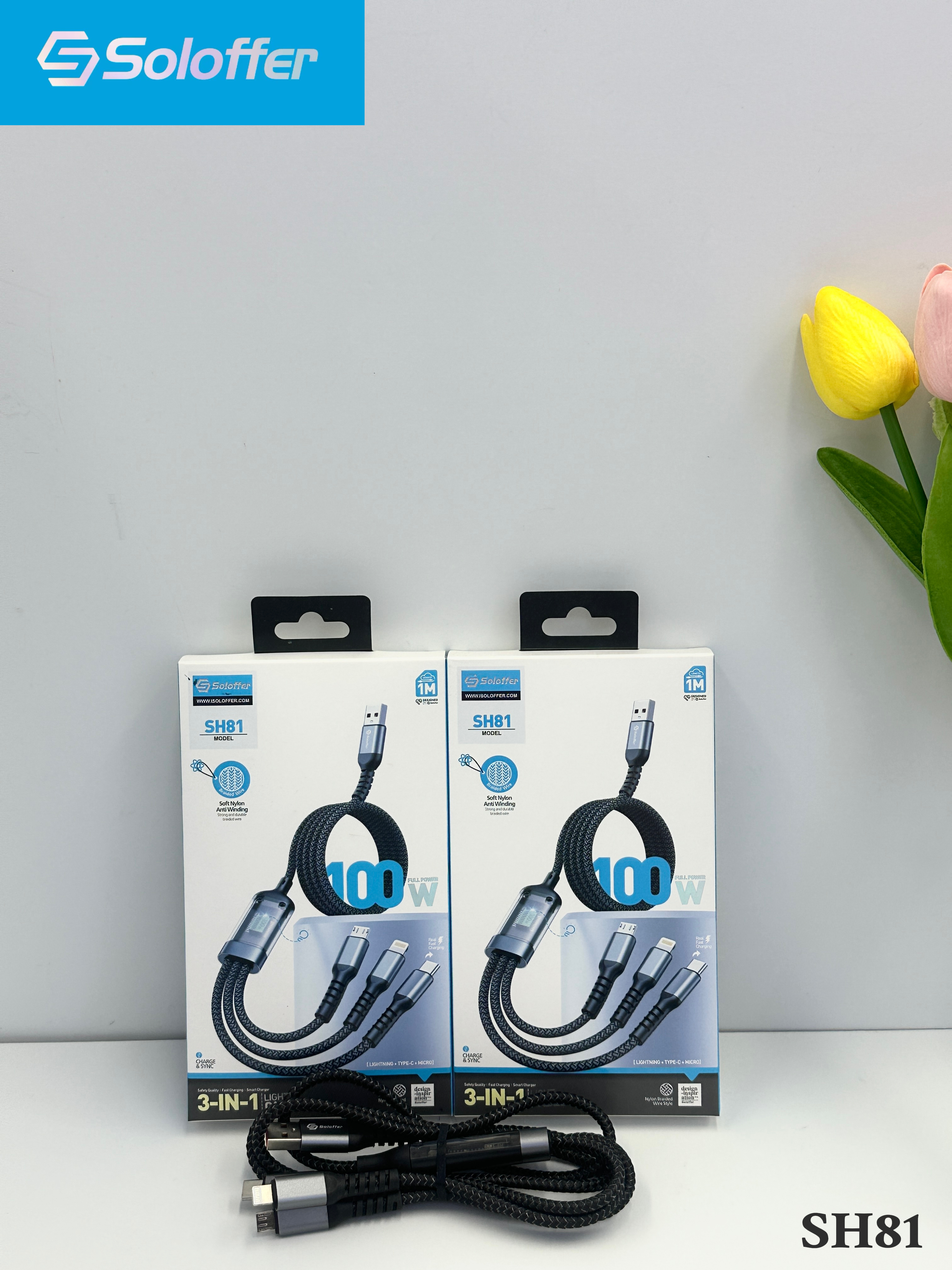 SH81 DATA CABLE