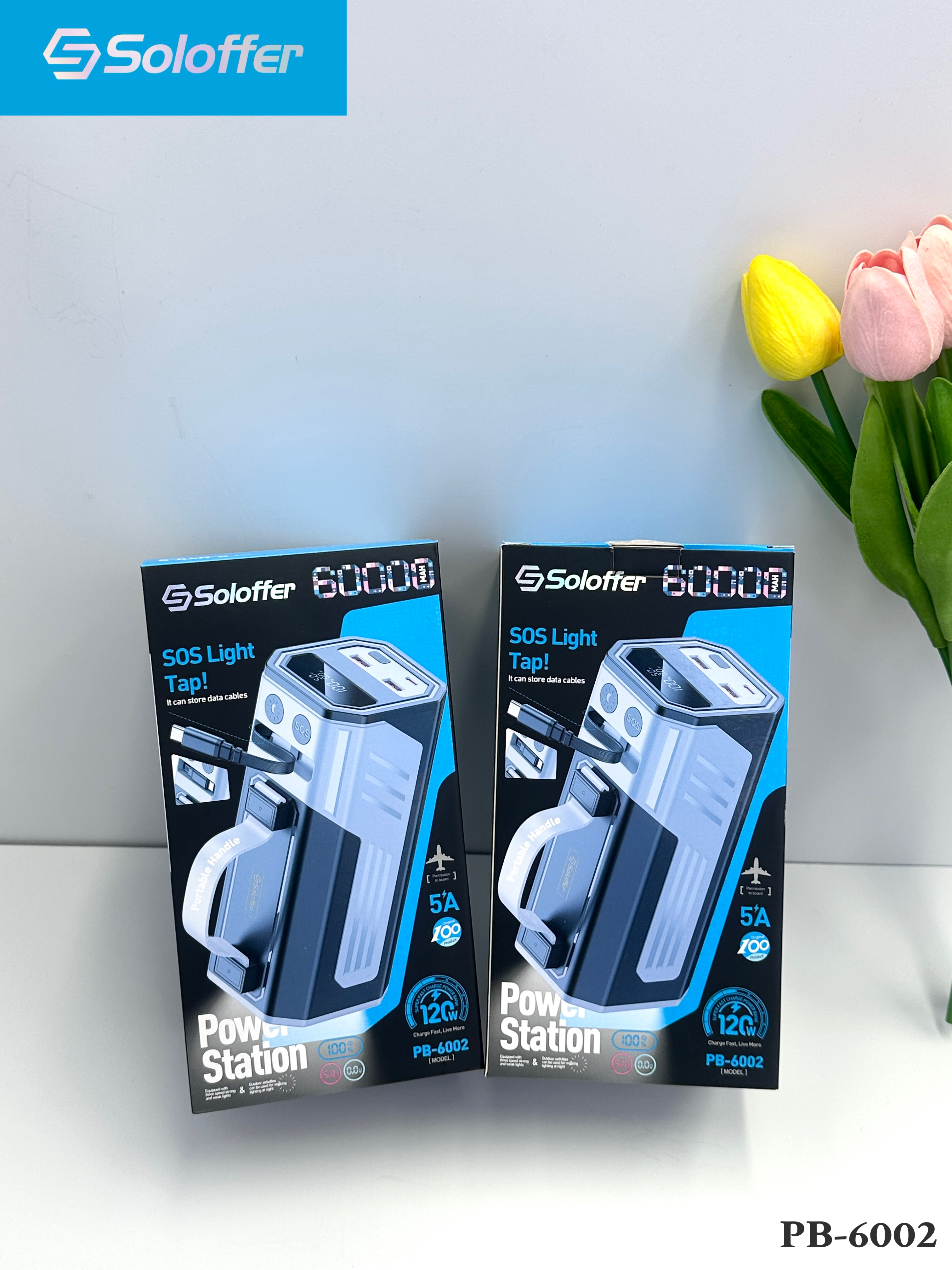 PB-6002 POWER BANK