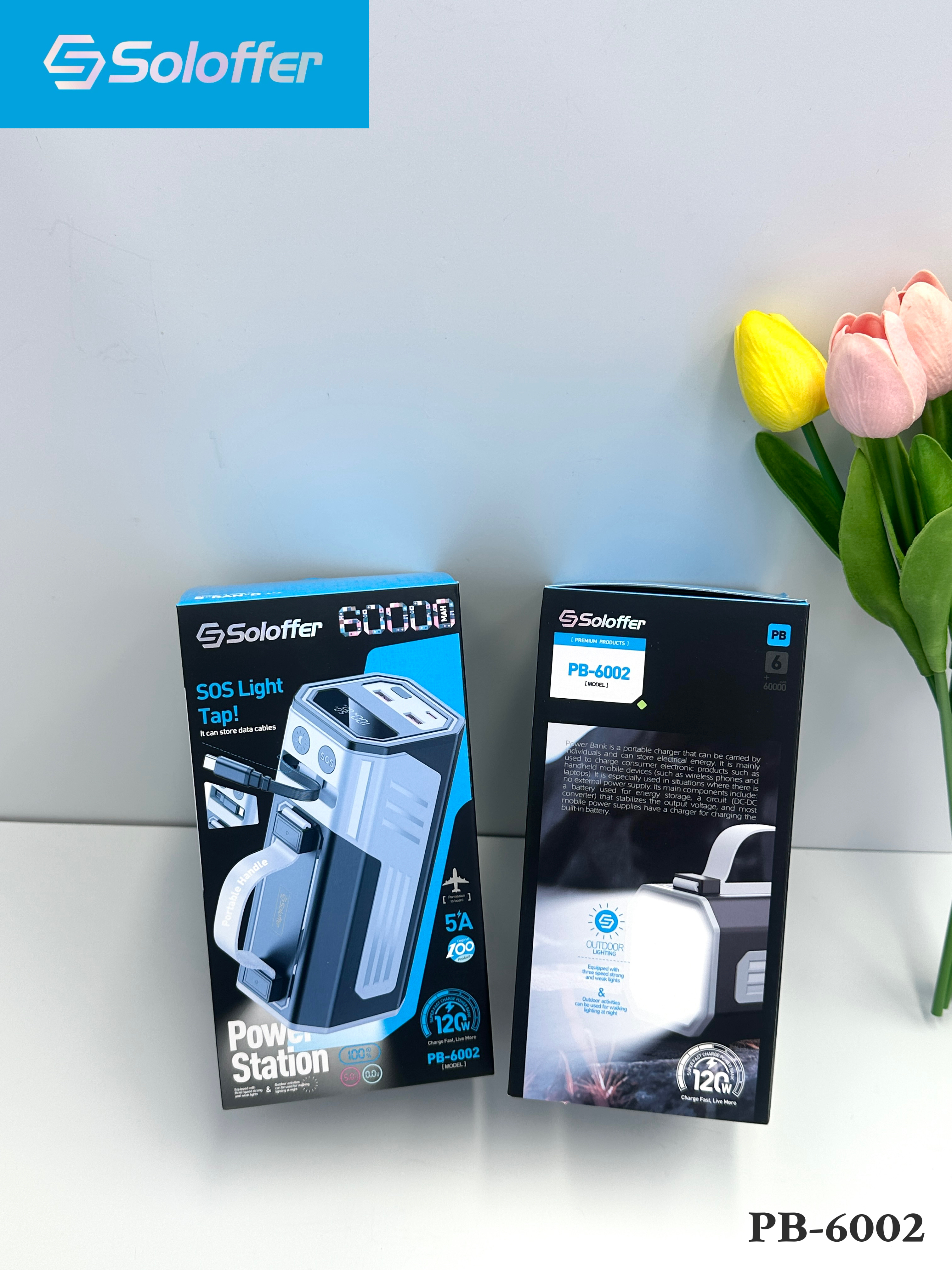 PB-6002 POWER BANK