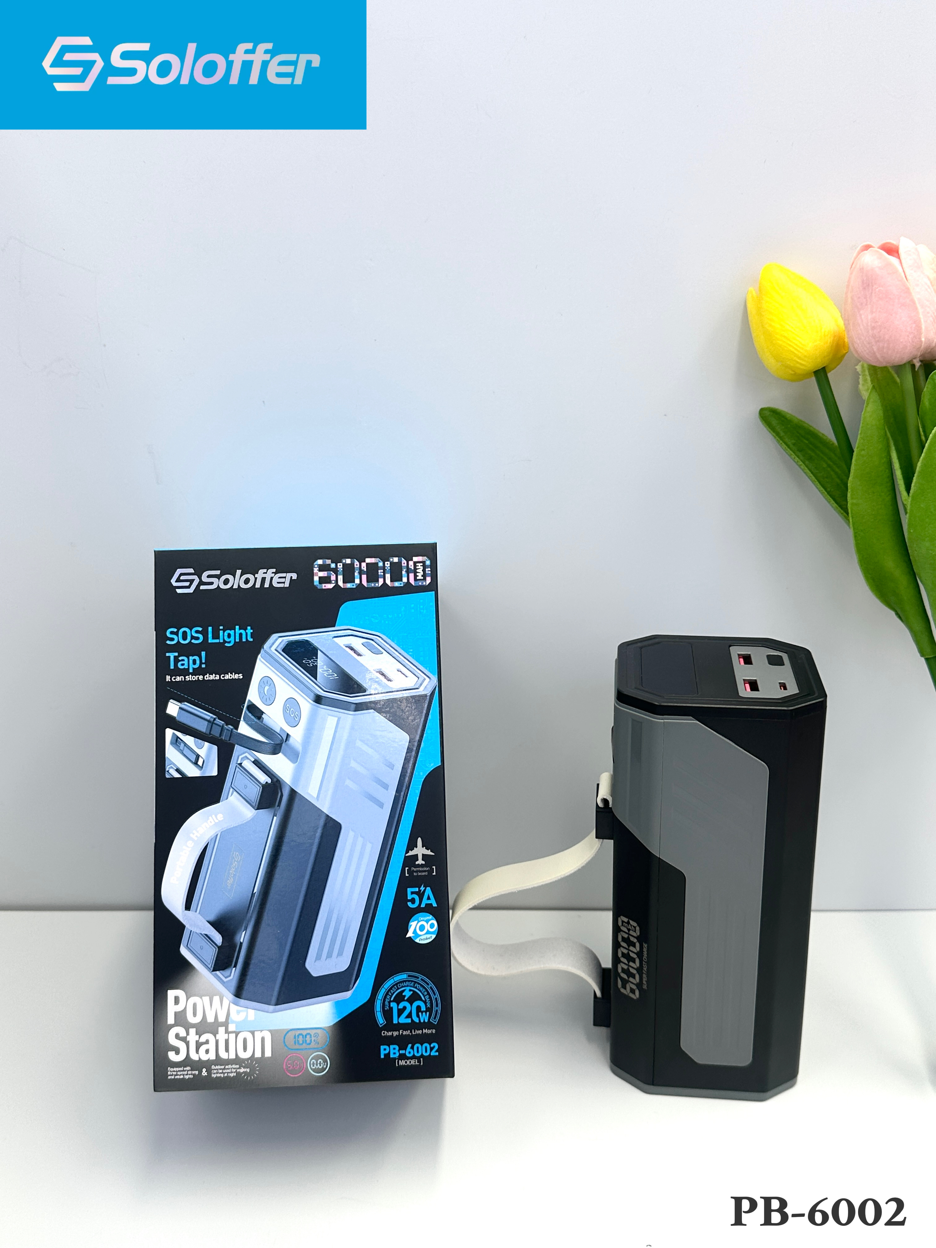PB-6002 POWER BANK