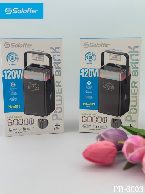 PB-6003 POWER BANK