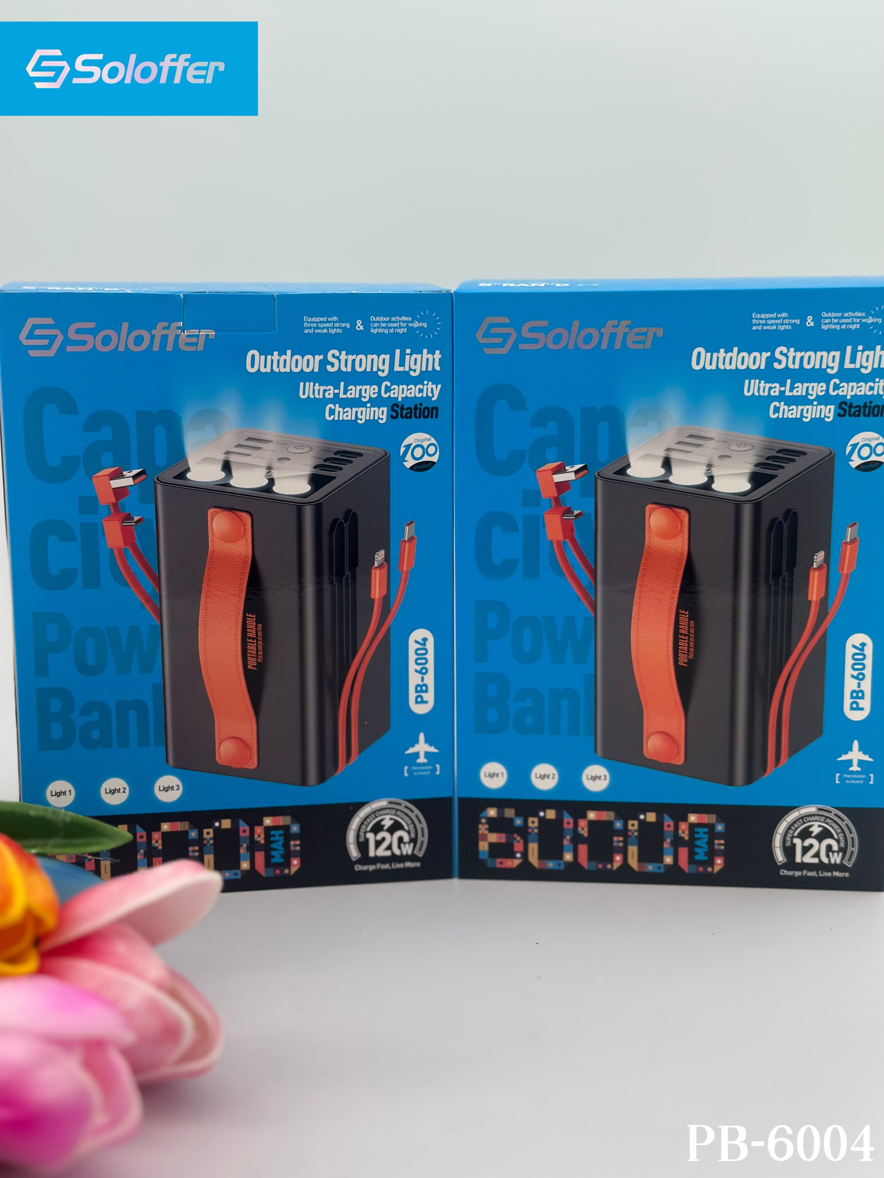 PB-6004 POWER BANK