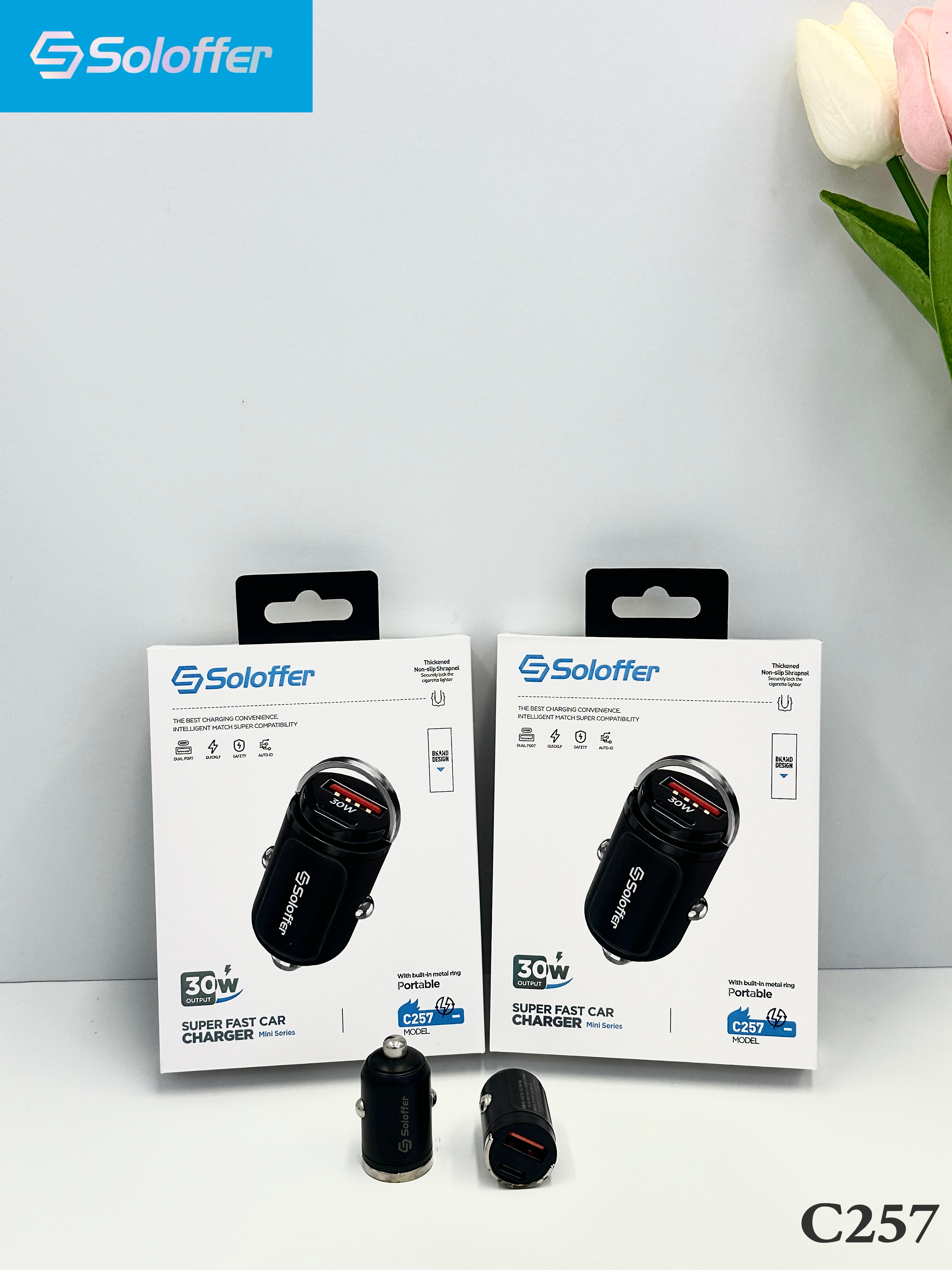 C257 CAR CHARGER