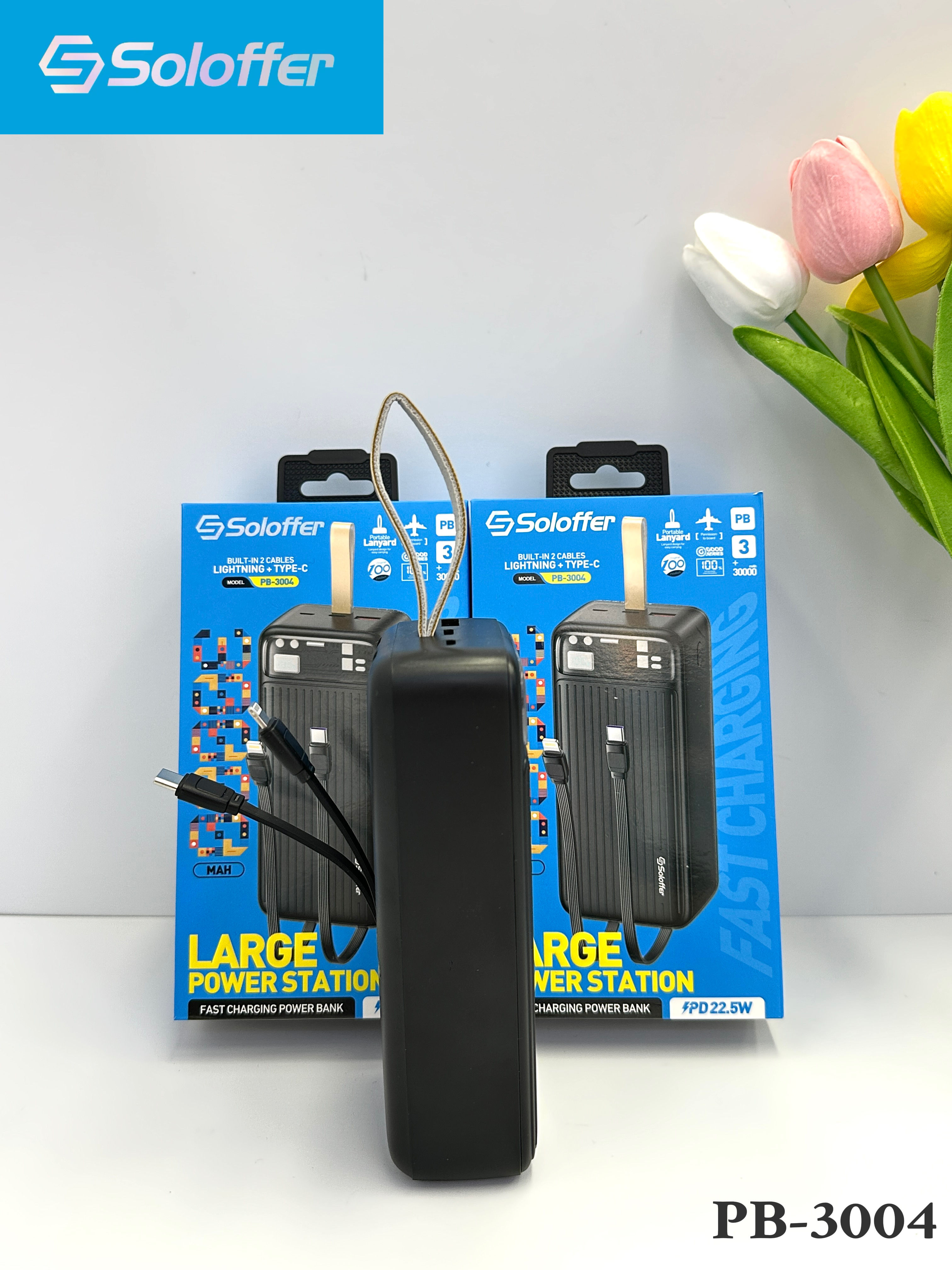 PB-3004 POWER BANK