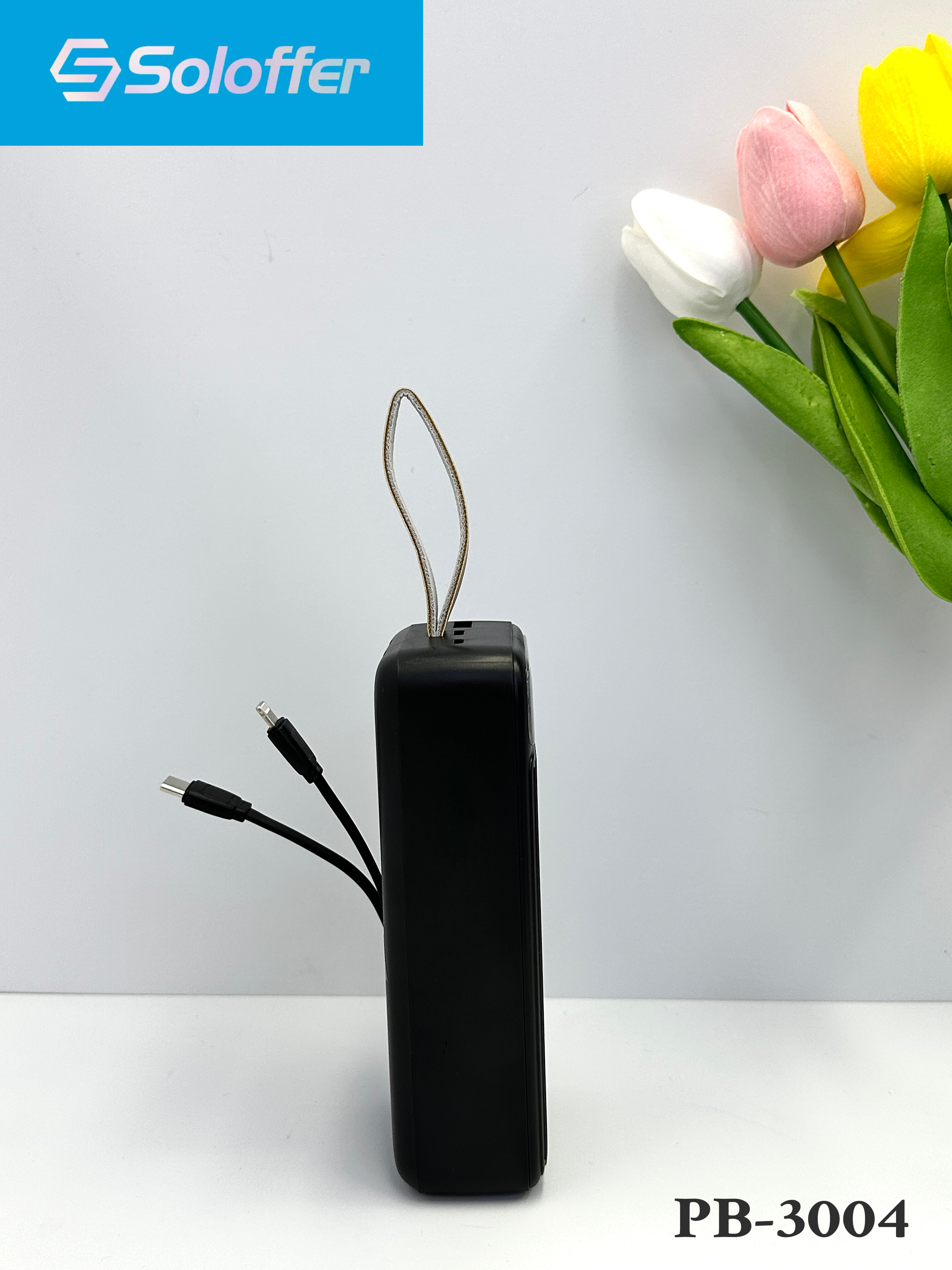 PB-3004 POWER BANK