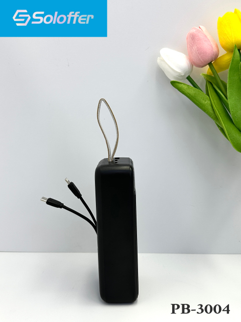 PB-3004 POWER BANK
