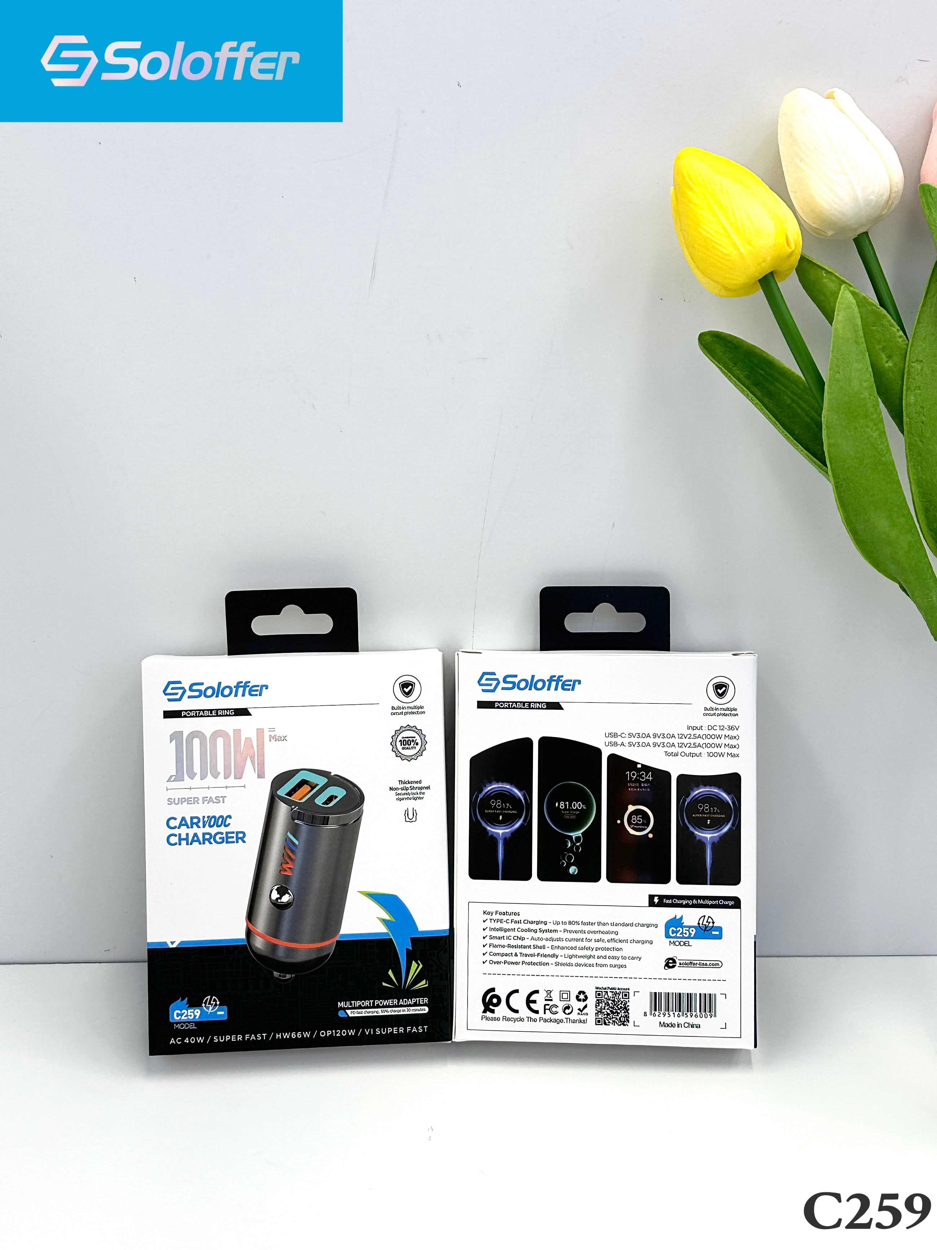 C259 CAR CHARGER