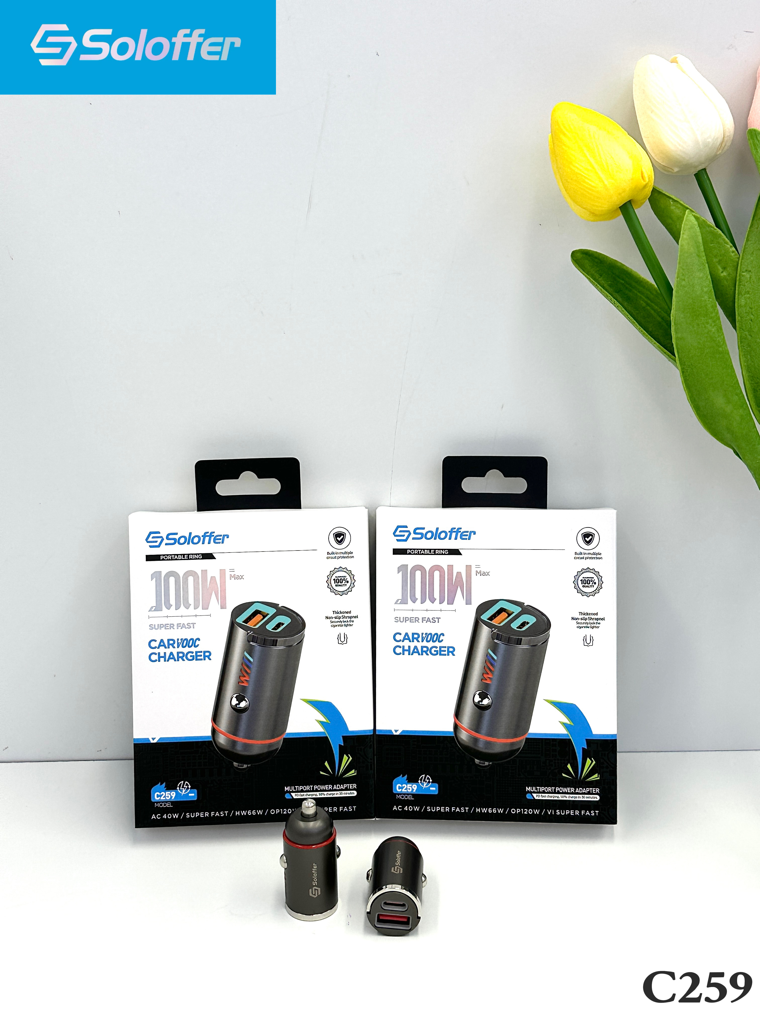 C259 CAR CHARGER