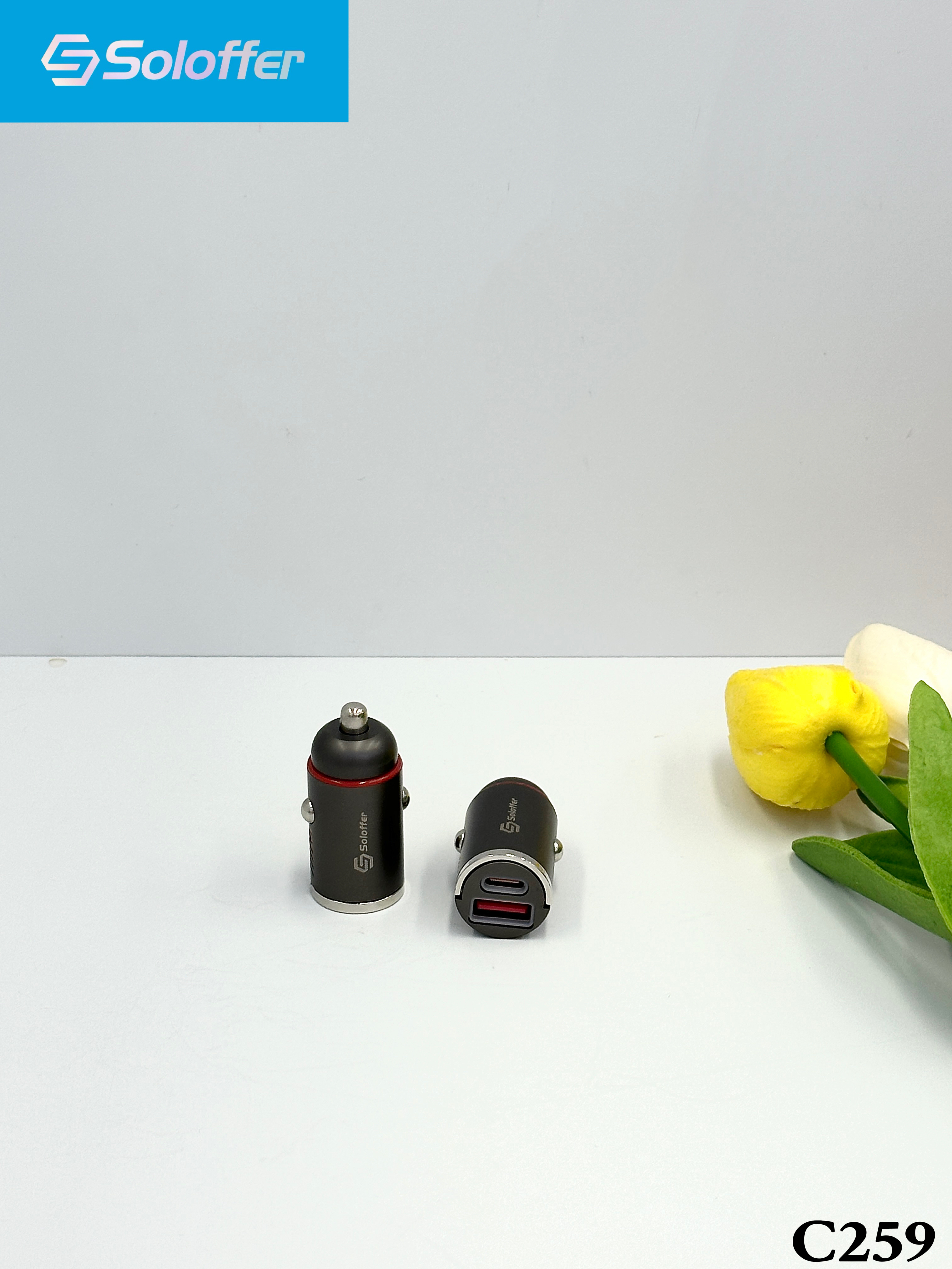 C259 CAR CHARGER