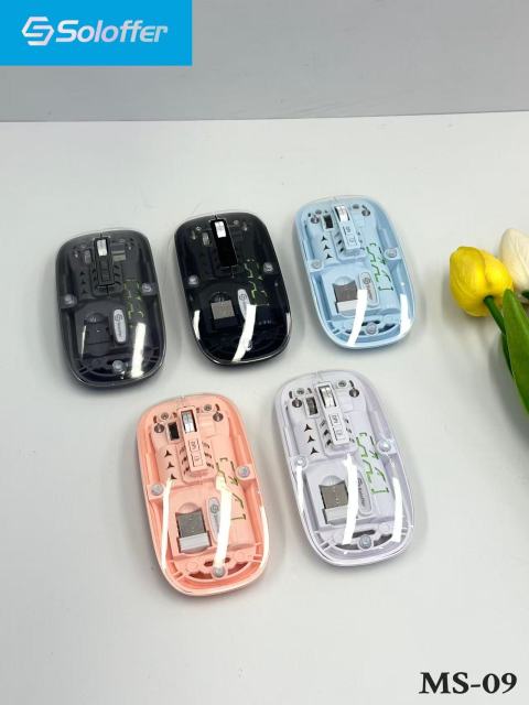 MS-09 MOUSE