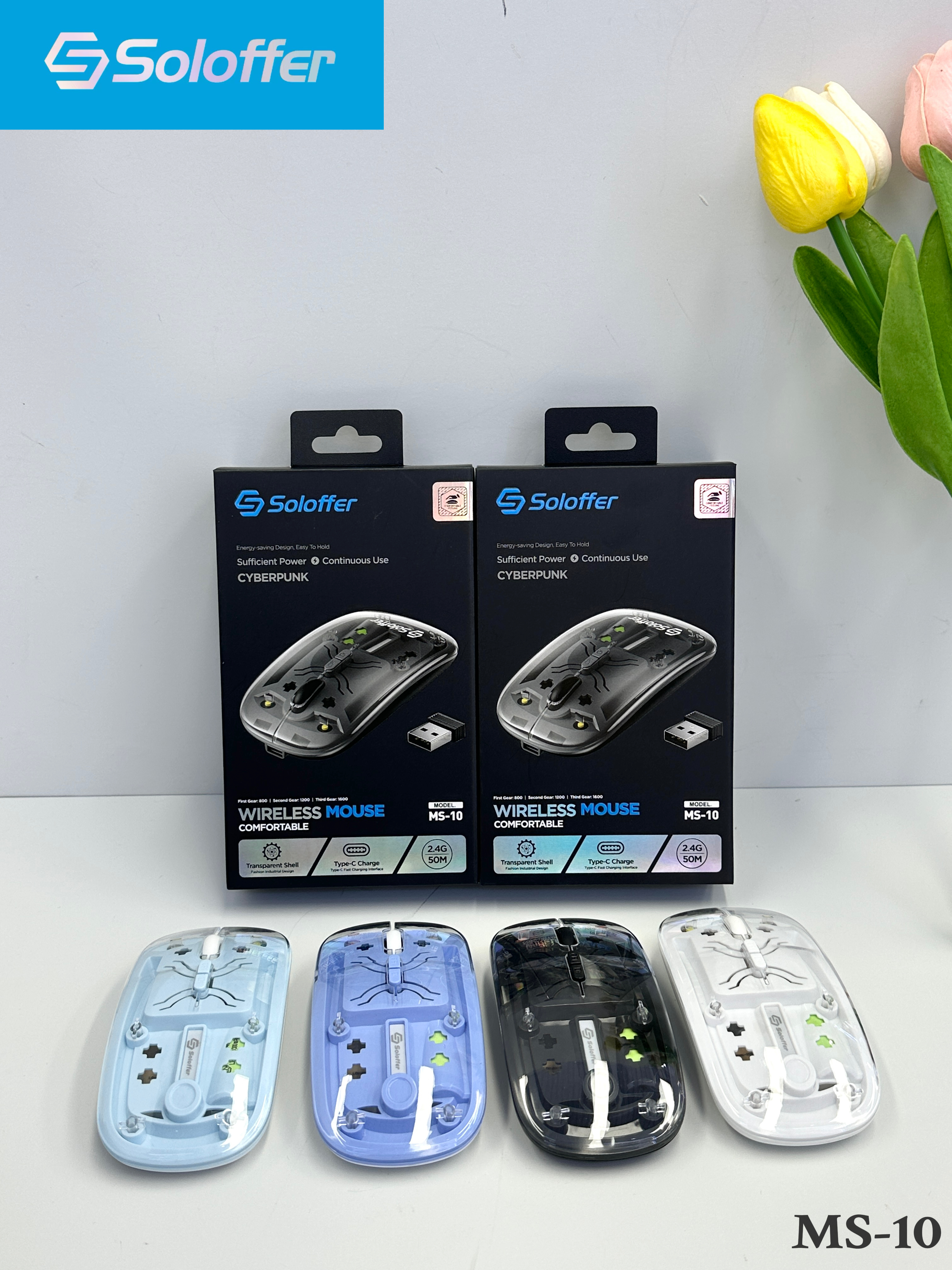 MS-10 MOUSE