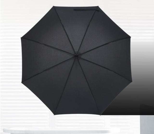 Vinyl Sunscreen Umbrella