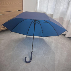 Cute Clear Umbrella