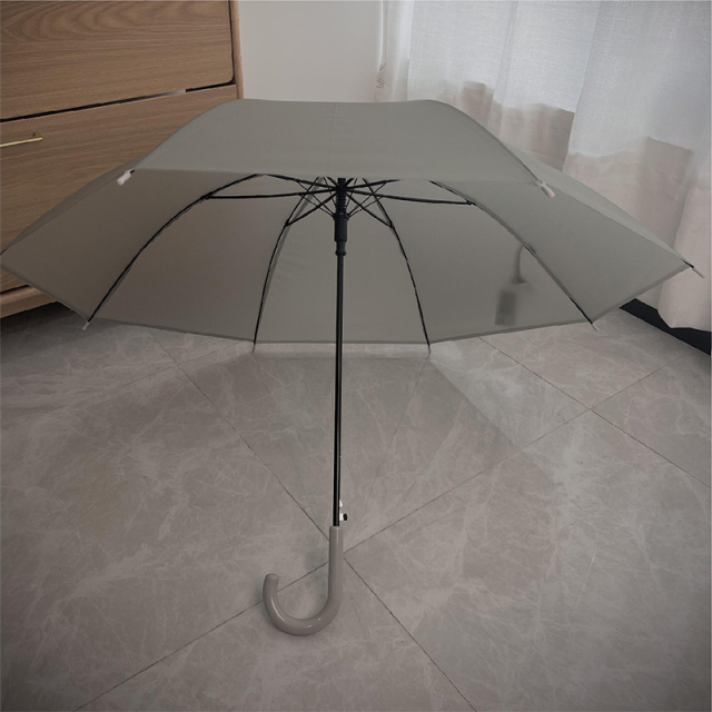 Cute Clear Umbrella