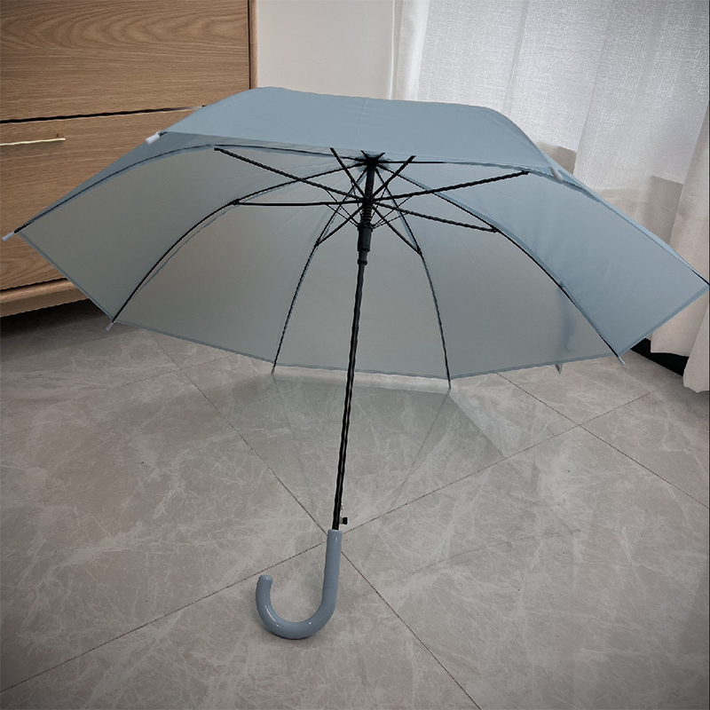 Cute Clear Umbrella