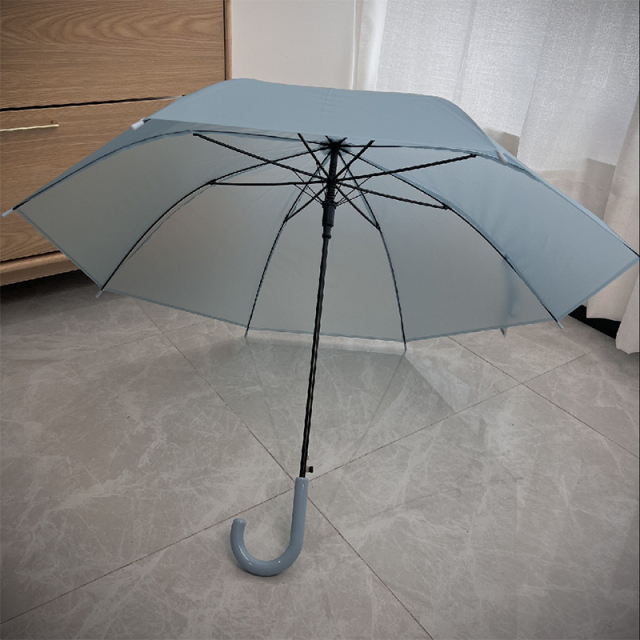 Cute Clear Umbrella