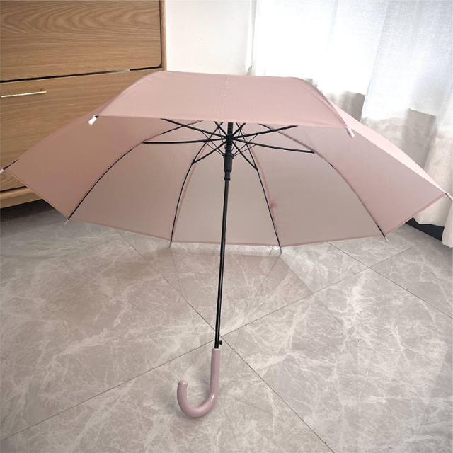 Cute Clear Umbrella