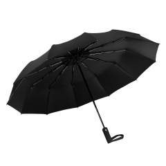8 Bone Folding Umbrella