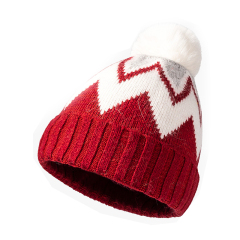 Pom-Pom Knitted Beanie Hat