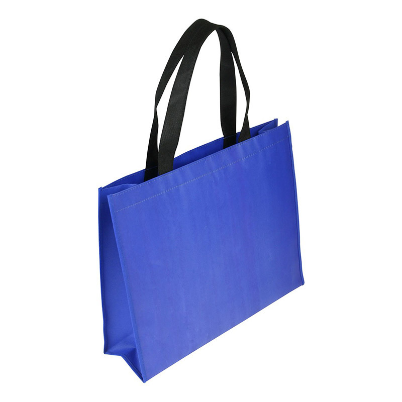 Non-woven Coated Bag