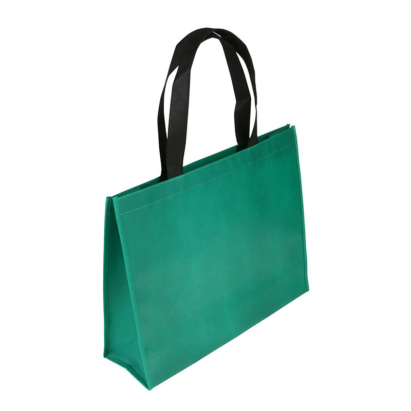 Non-woven Coated Bag