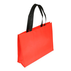 Non-woven Coated Bag