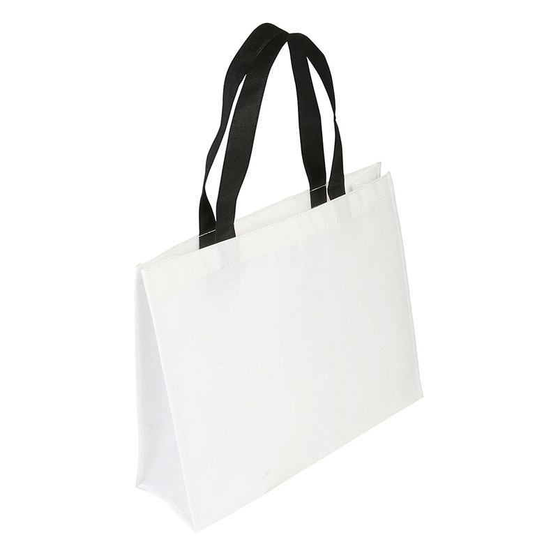 Non-woven Coated Bag