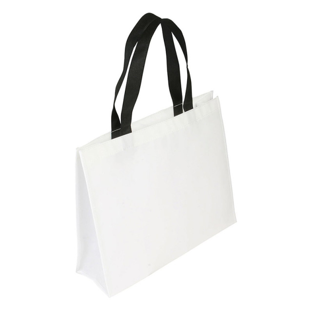 Non-woven Coated Bag