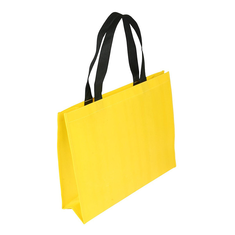 Non-woven Coated Bag