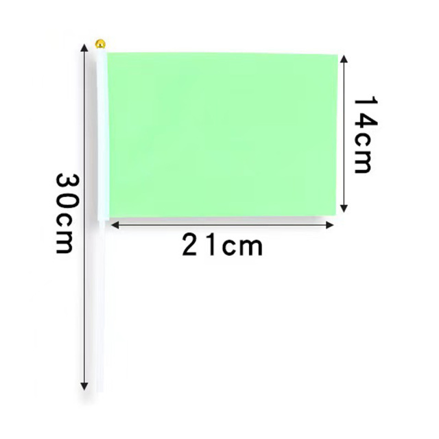 Vibrant Hand-Waved Flag