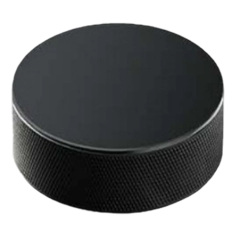 Professional Ice Hockey Puck