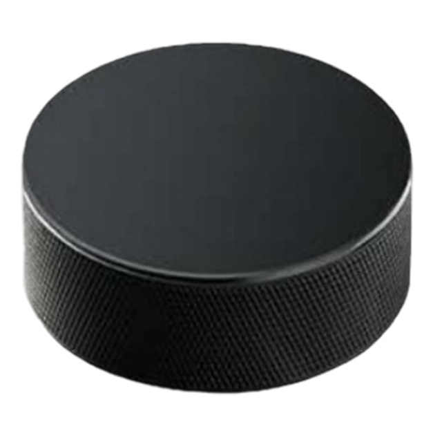 Professional Ice Hockey Puck
